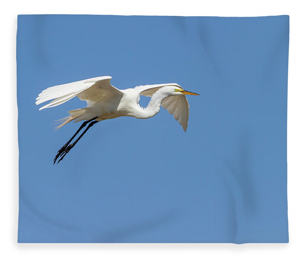 Great Egret Fleece Blanket featuring the photograph Great Egret 2014-14 by Thomas Young