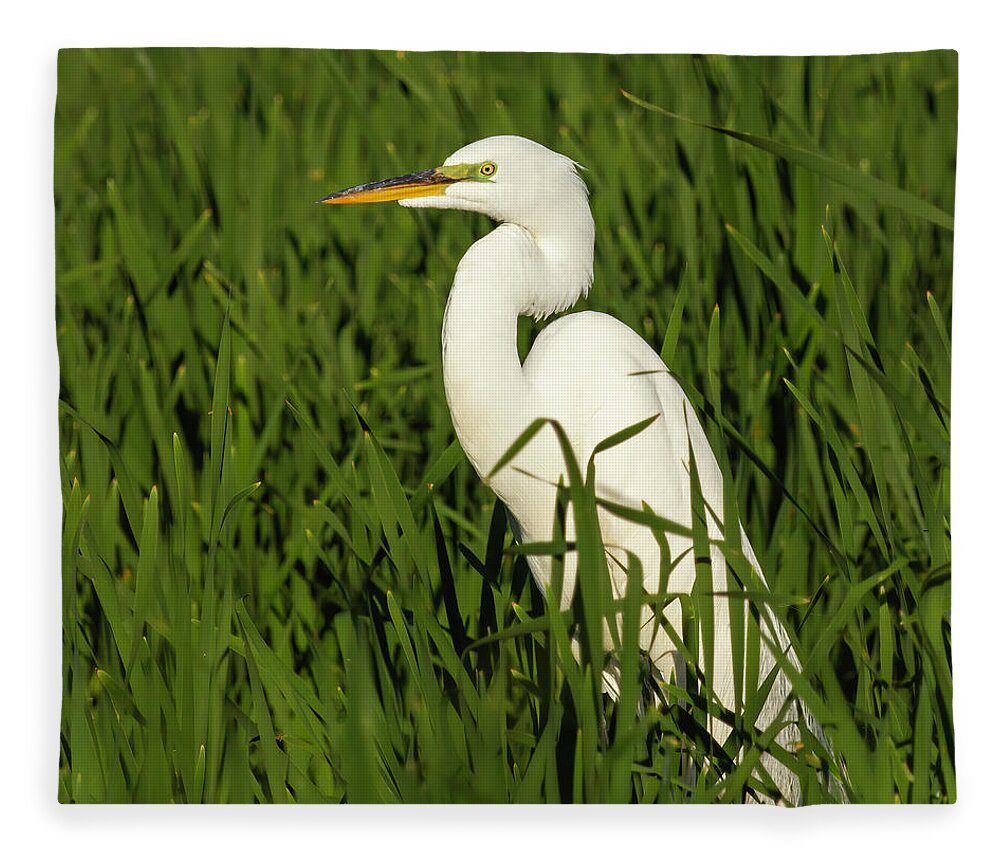 Great Egret Fleece Blanket featuring the photograph Great Egret 2014-20 by Thomas Young