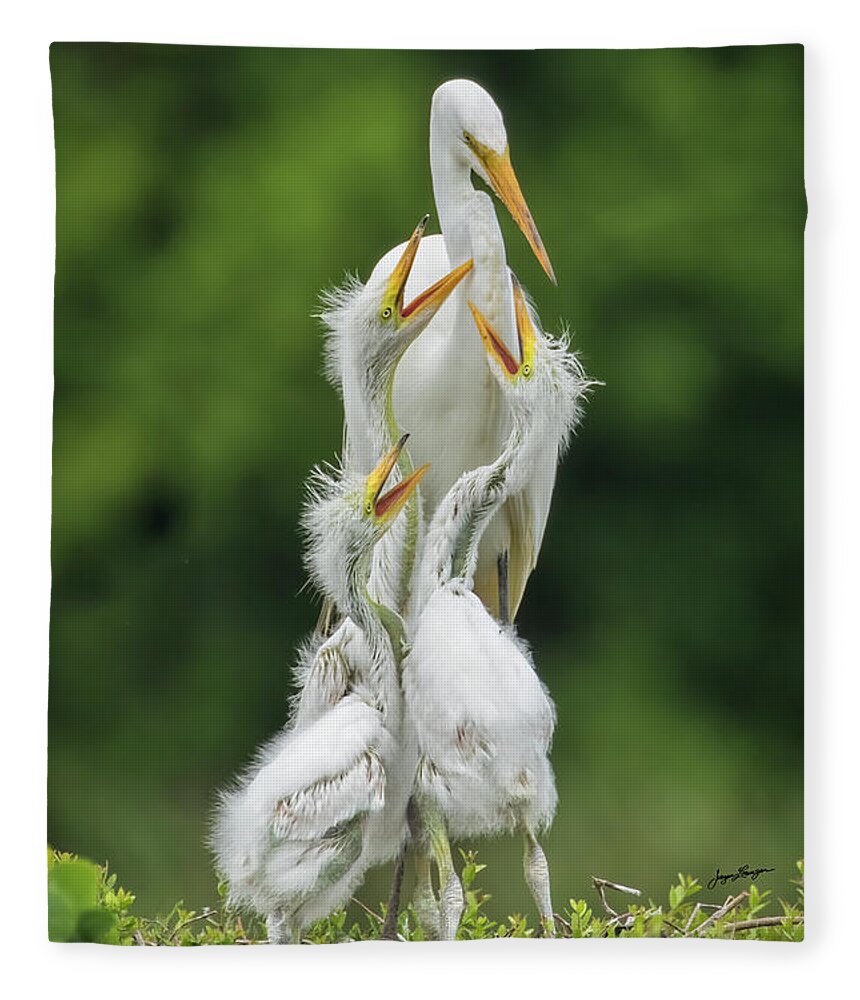 Great Egret Fleece Blanket featuring the photograph Great Egret Feeding Time by Jurgen Lorenzen