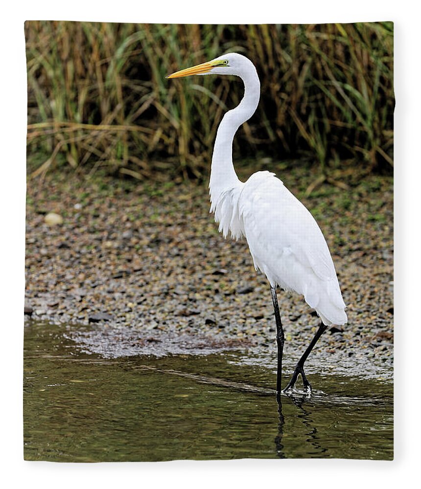 White Egret Fleece Blanket featuring the photograph White Egret out for a stroll by Doolittle Photography and Art