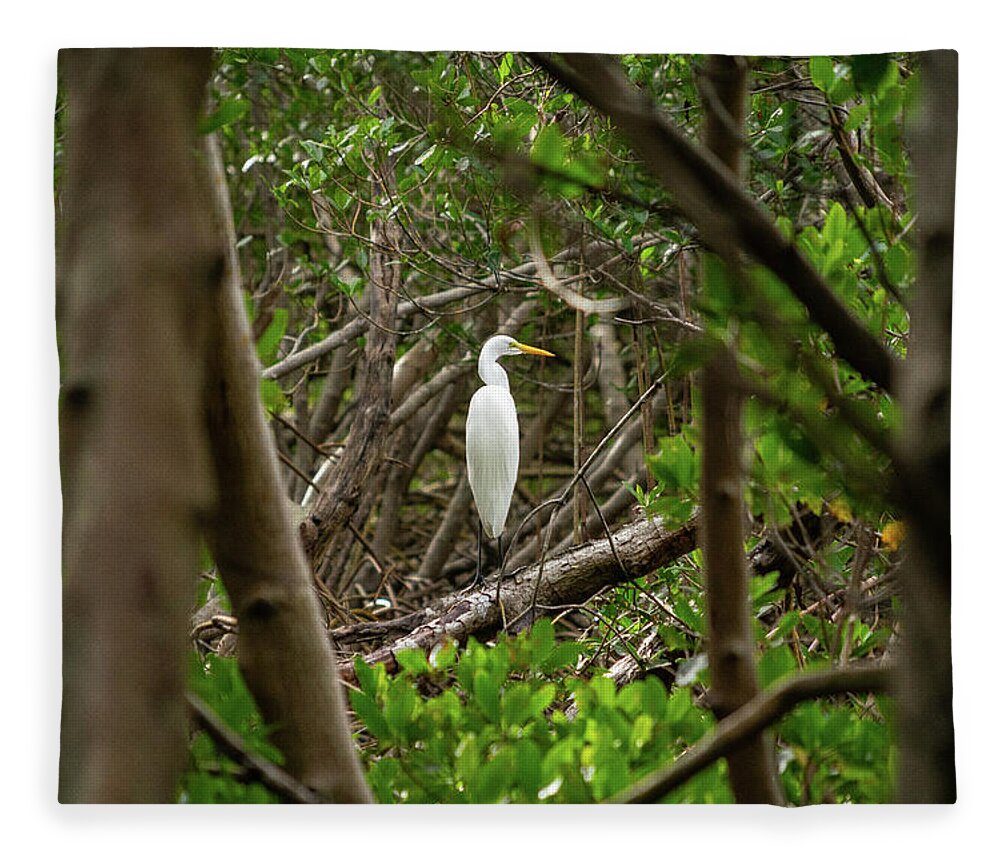 Florida Fleece Blanket featuring the photograph Great White Heron Horizontal by Marian Tagliarino