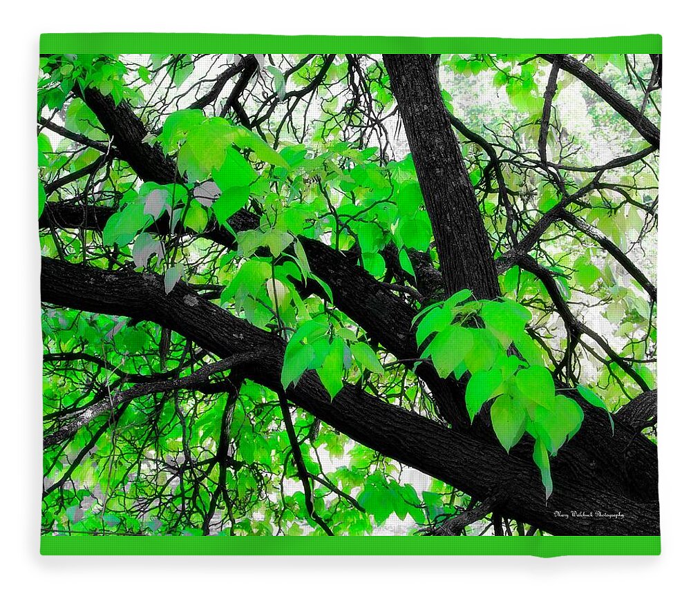 Tree Nature Landscape Fleece Blanket featuring the photograph Green and Serene by Mary Walchuck