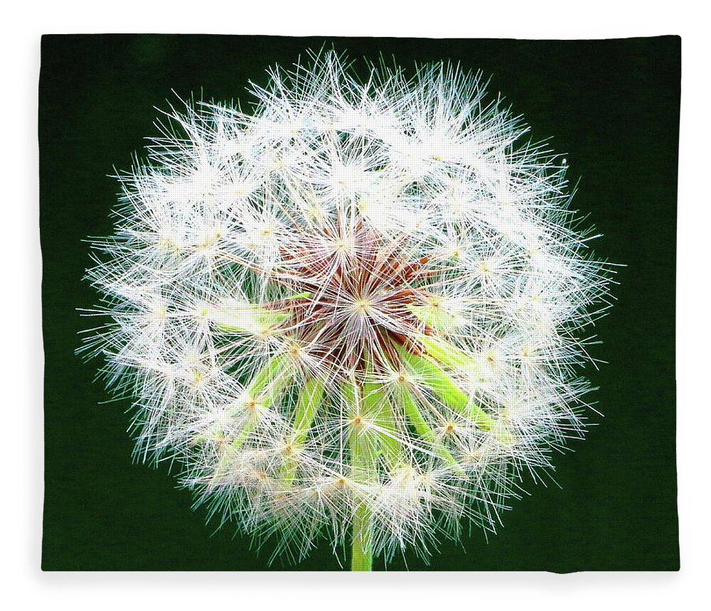 Dandelion Fleece Blanket featuring the photograph Green Geometry by Larry Beat