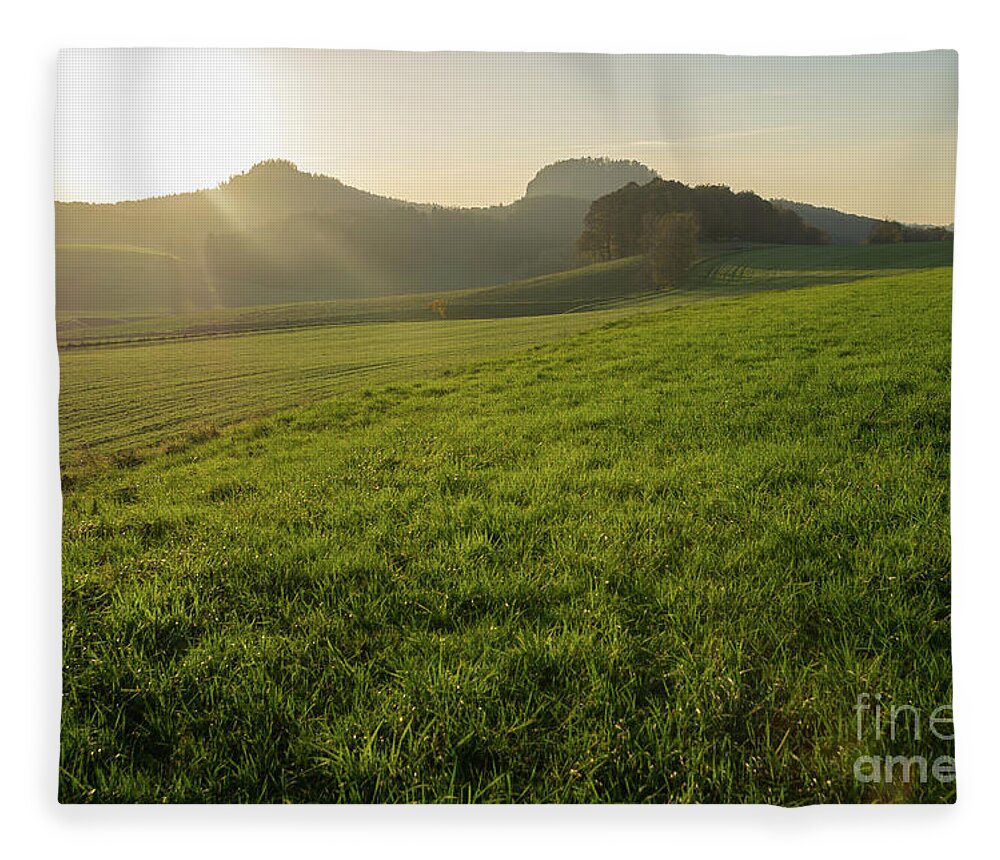 Sunlight Fleece Blanket featuring the photograph Green meadow and golden light 1 by Adriana Mueller