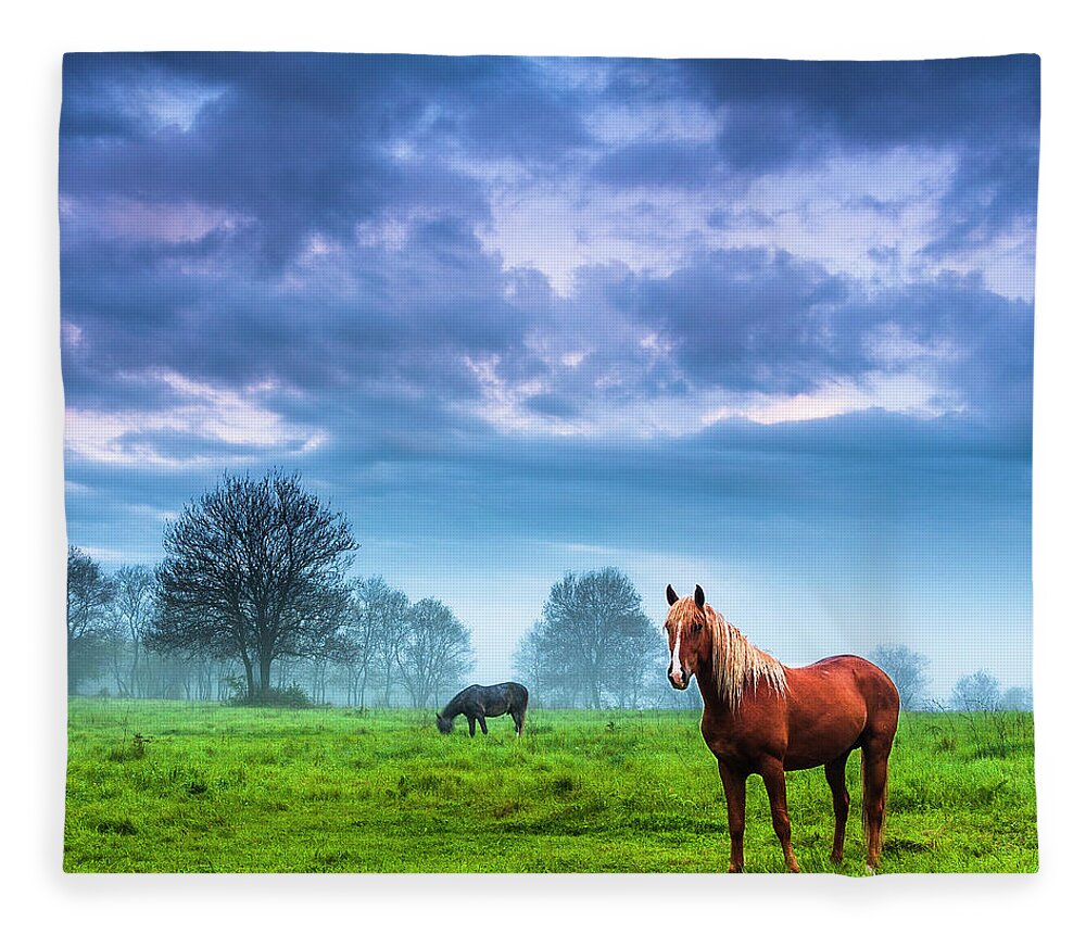 Fog Fleece Blanket featuring the photograph Green Morn by Evgeni Dinev