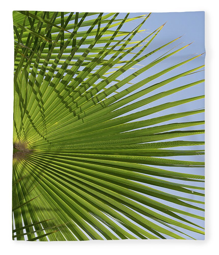 Palm Leaf Fleece Blanket featuring the photograph Green palm leaf and blue sky, beach season by Adriana Mueller