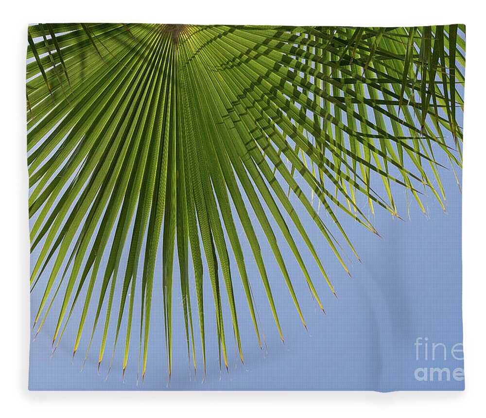 Palm Leaf Fleece Blanket featuring the photograph Green palm leaf and blue sky, summer season by Adriana Mueller