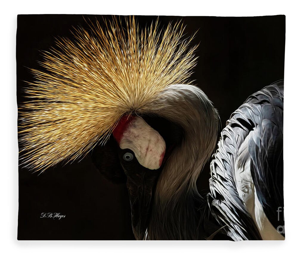 Birds Fleece Blanket featuring the photograph Grey Crowned Crane by DB Hayes