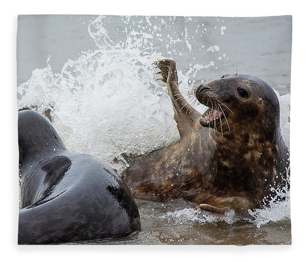 Grey Seals Fleece Blanket featuring the photograph Grey Seals splashing about 2 by Gareth Parkes