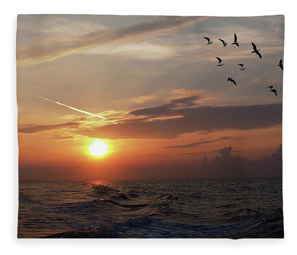 Birds Fleece Blanket featuring the photograph Gulls in the Gulf by James C Richardson
