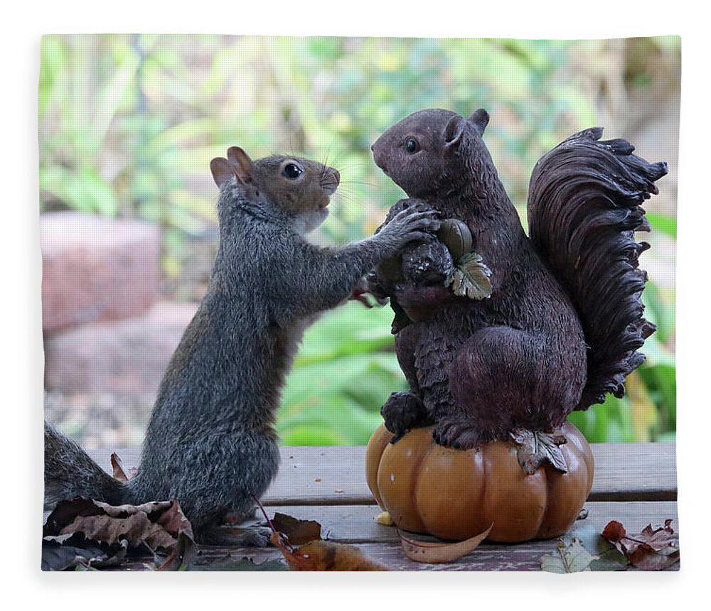 Squirrels Fleece Blanket featuring the photograph Hand Over a Nut Please by Trina Ansel
