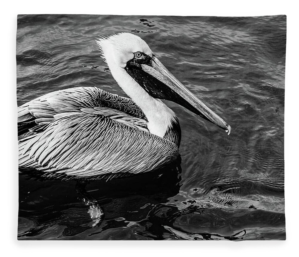 Black Fleece Blanket featuring the photograph Handsome Pelican Black and White by Debra and Dave Vanderlaan