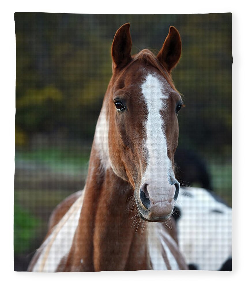 Rosemary Farm Fleece Blanket featuring the photograph Handsome Rhett by Carien Schippers