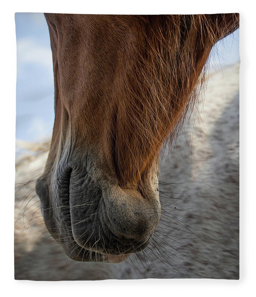 Horses Fleece Blanket featuring the photograph Hanging Out by M Kathleen Warren