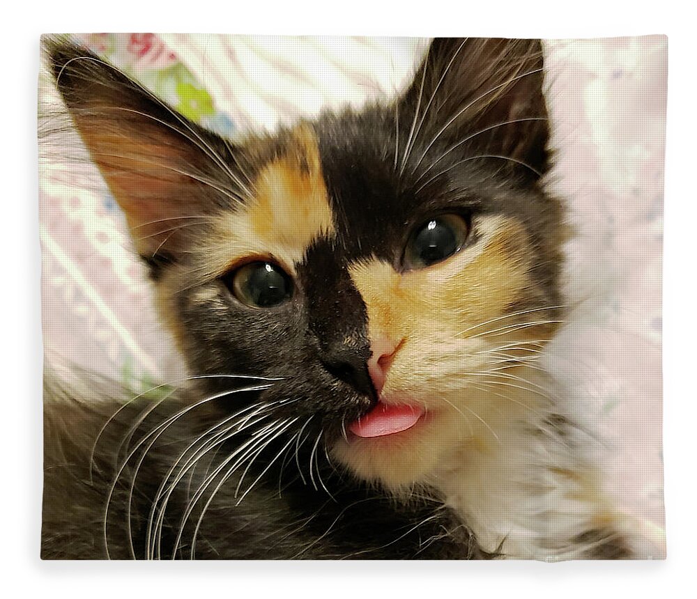 Kitten; Cute Kitten; Cat; Cute Cat; Tortoiseshell; Calico; Cute; Animal; Pet; Funny; Tongue; Silly; Happy; Square Fleece Blanket featuring the photograph Harlequin by Tina Uihlein