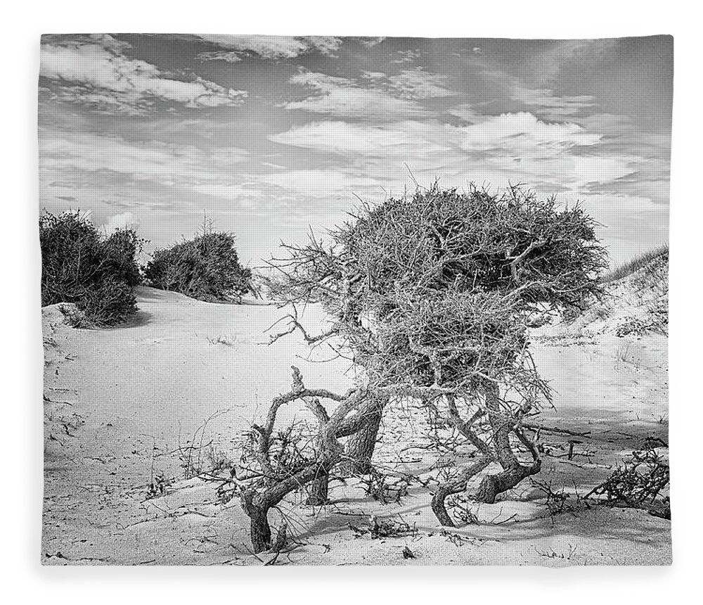 Cedar Island Fleece Blanket featuring the photograph Harsh Environment - the Struggle for Life on a Remote Beach by Bob Decker