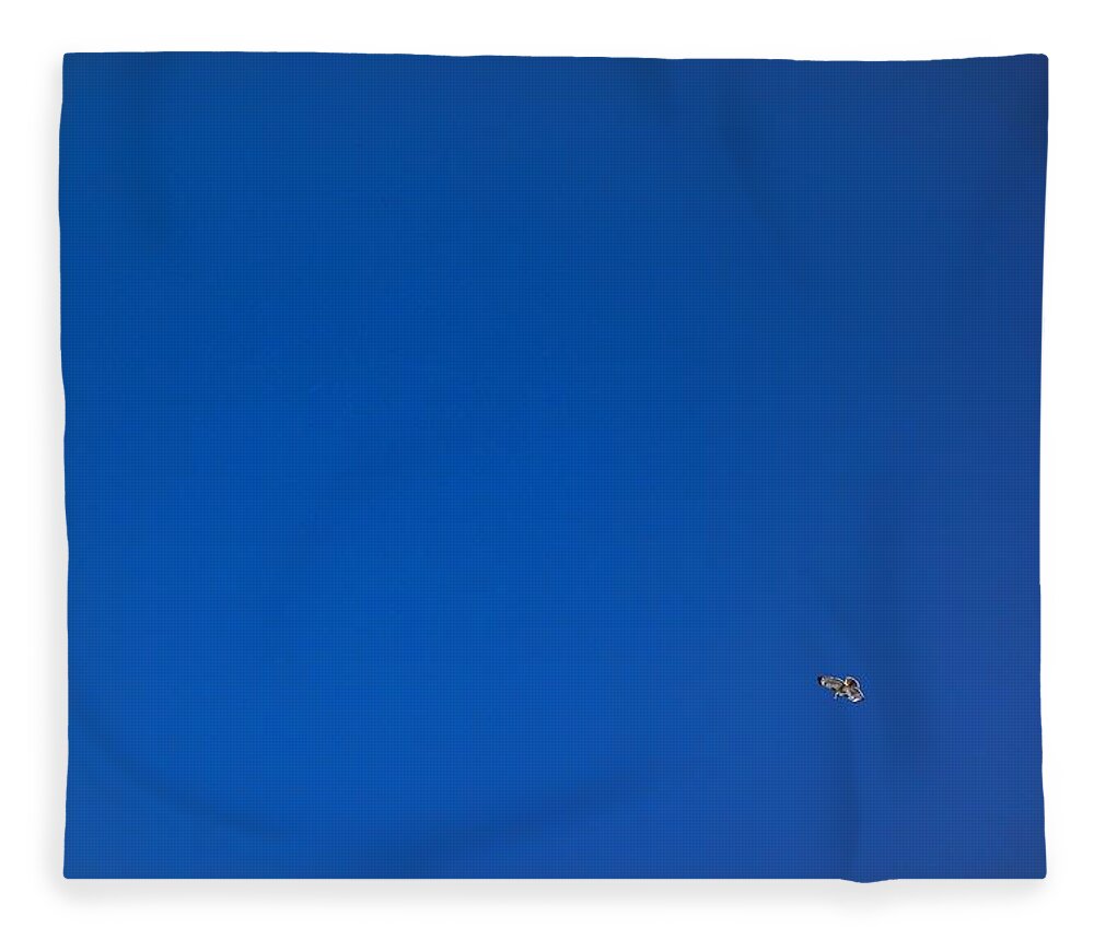Hawk Fleece Blanket featuring the photograph Hawk and Blue Sky by Russel Considine