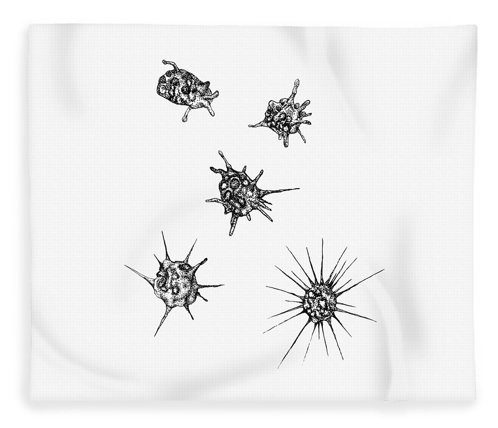 Heliozoa Fleece Blanket featuring the drawing Heliozoan shapeshift by Katelyn Solbakk