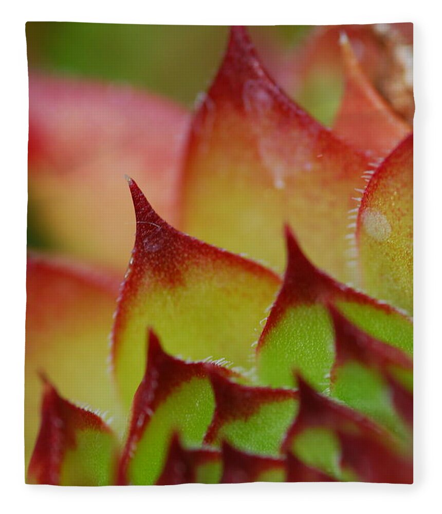 Hens And Chicks Fleece Blanket featuring the photograph Hens And Chicks #10 by Stephanie Gambini