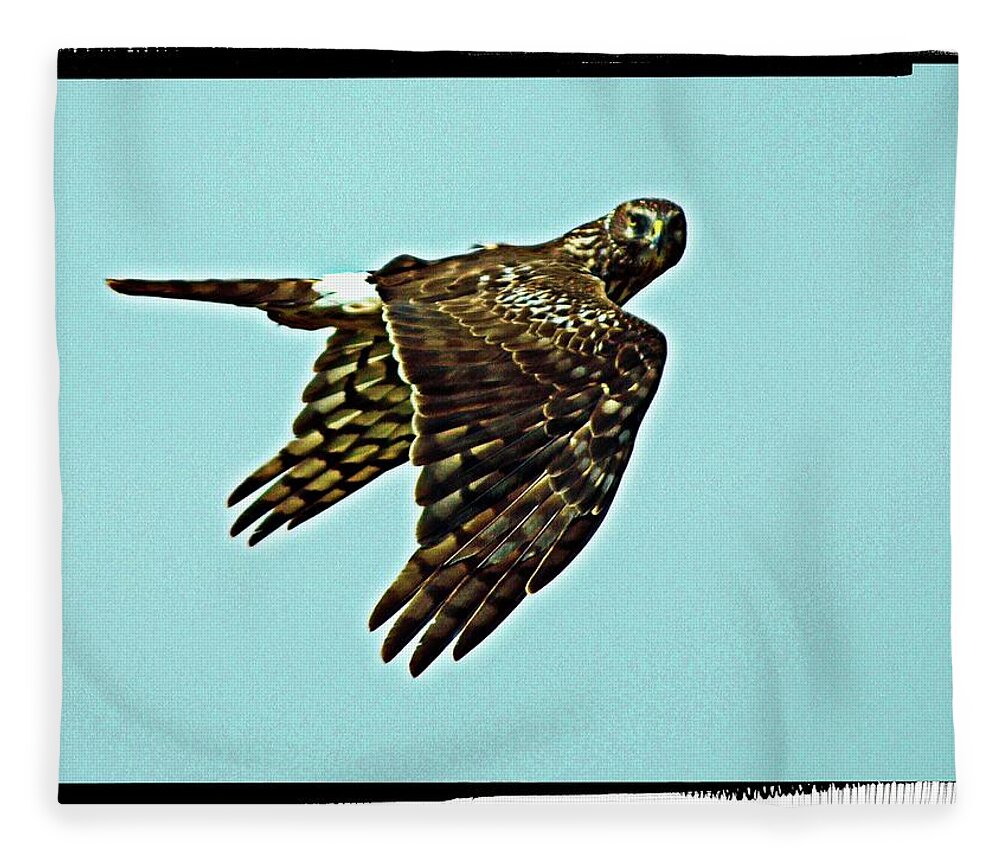 Animal Fleece Blanket featuring the digital art Here's Looking At You Kid Again by David Desautel