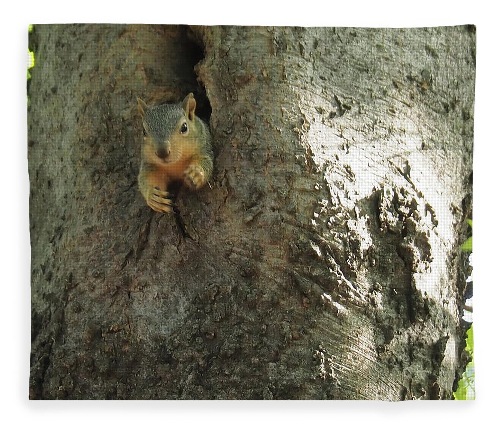 Squirrel Fleece Blanket featuring the photograph Hi There by C Winslow Shafer