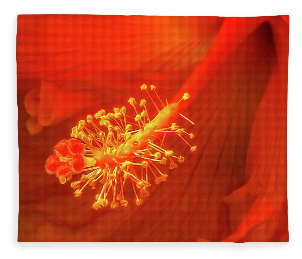 Hibiscus Fleece Blanket featuring the photograph Hibiscus Glow by Karen Smale