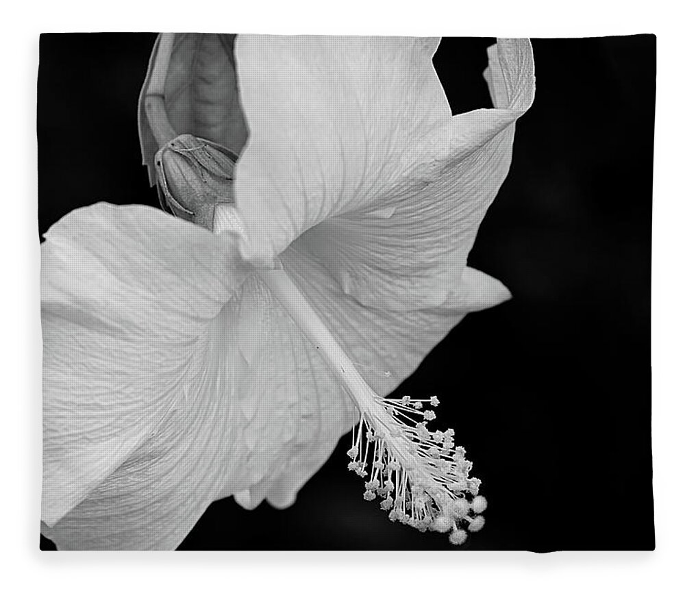 Hibiscus Fleece Blanket featuring the photograph Hibiscus in Black and White by Lyuba Filatova