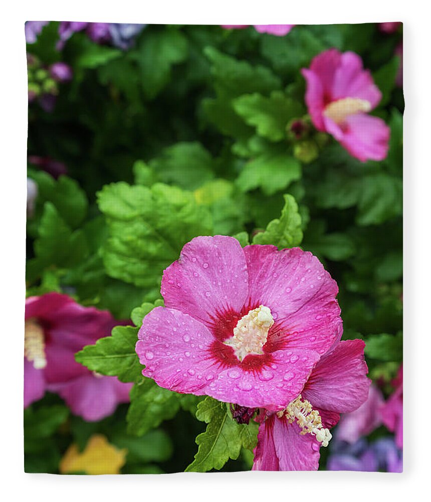 Hibiscus Syriacus Fleece Blanket featuring the photograph Hibiscus Syriacus I by Marianne Campolongo