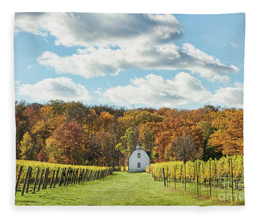 Lake Ontario Fleece Blanket featuring the photograph Hidden Bench by Marilyn Cornwell