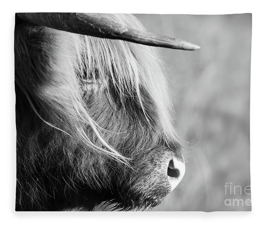 Highland Cattle Fleece Blanket featuring the photograph Highland cow face side view black and white by Simon Bratt