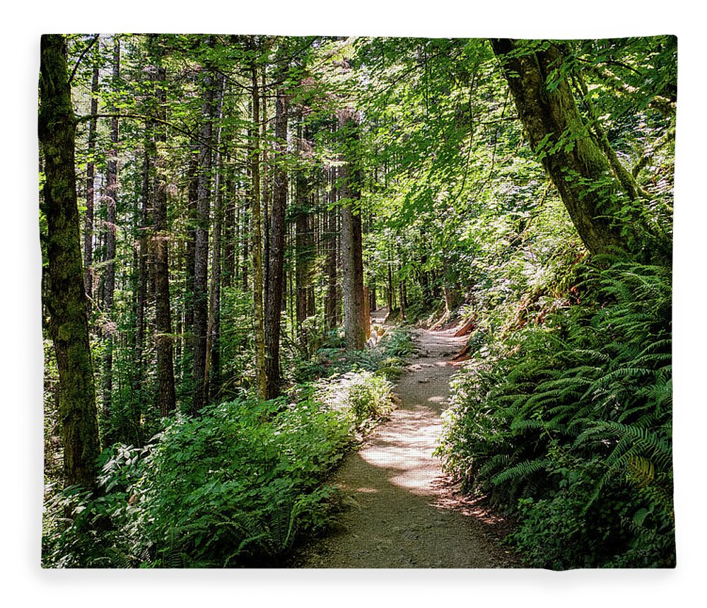 Washington Fleece Blanket featuring the photograph Hiking in the forest 2 by Alberto Zanoni