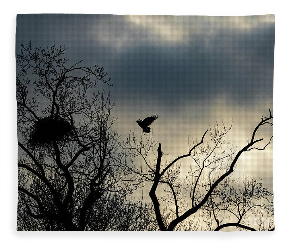 Eagle Fleece Blanket featuring the photograph Home Before Dark by Alyssa Tumale