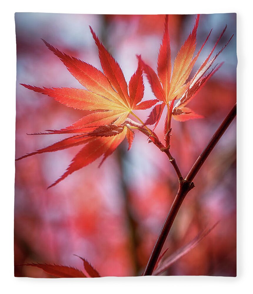 Leaves Fleece Blanket featuring the photograph Hope is Red by Philippe Sainte-Laudy