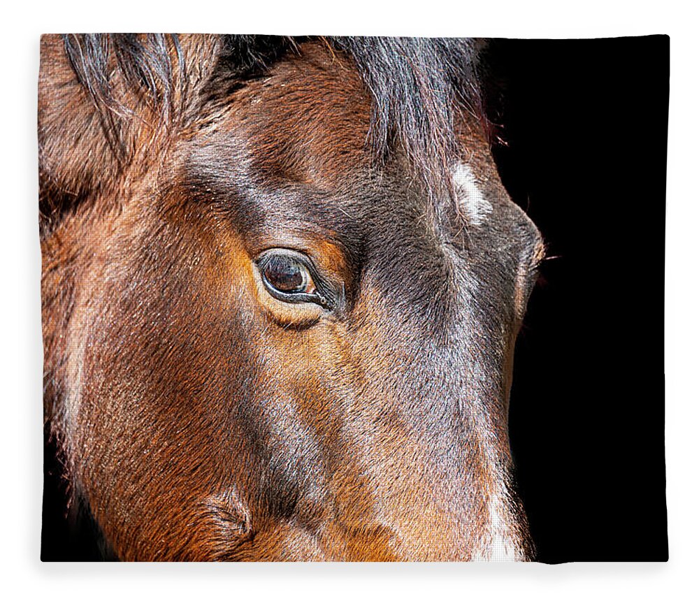 2020-02-21 Fleece Blanket featuring the photograph Horse 1 by Phil And Karen Rispin