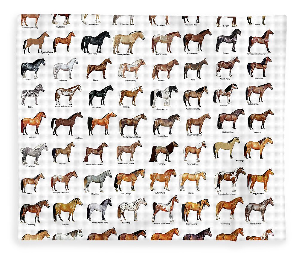 Horse Breeds Fleece Blanket by Gina Dsgn - Fine Art America