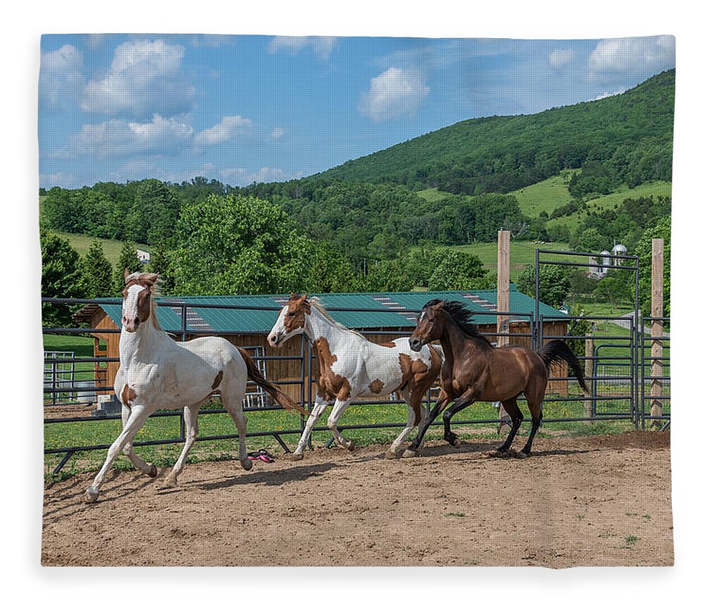 Horse Fleece Blanket featuring the photograph Horse Corral by Tricia Louque