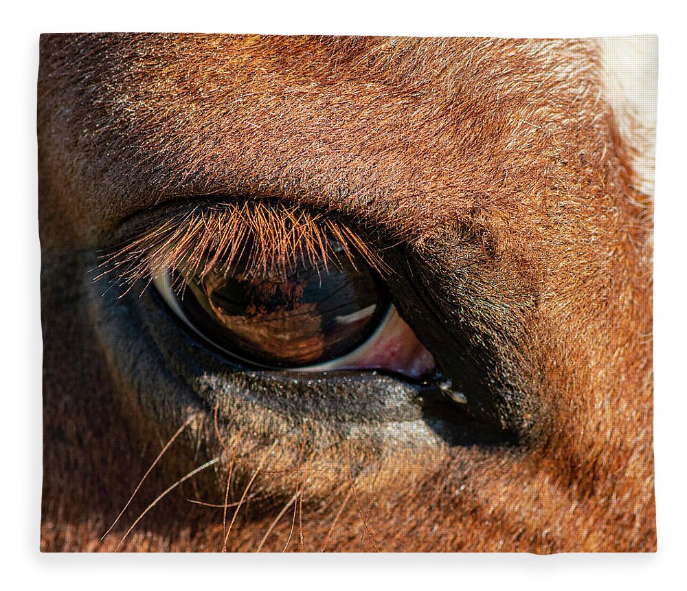 Horse Fleece Blanket featuring the photograph Horse Eye Close Up by Karen Rispin