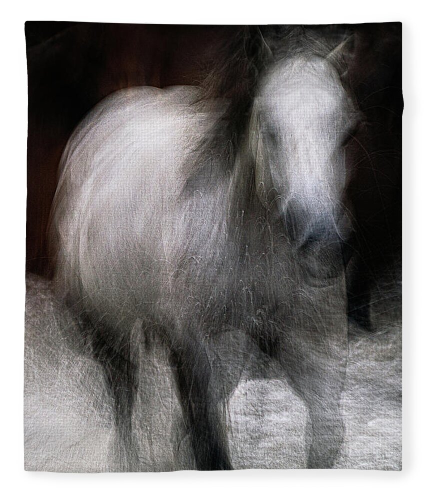 Landscape Fleece Blanket featuring the photograph Horse by Grant Galbraith