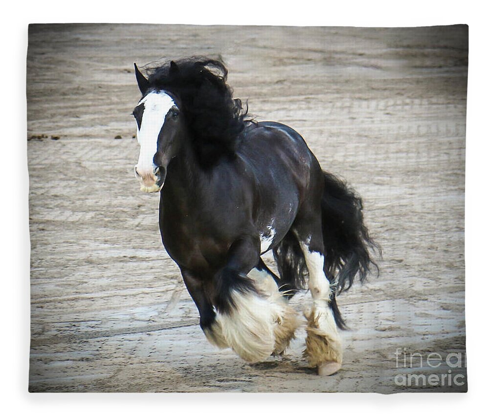 Horse Fleece Blanket featuring the photograph Horse Show Germantown Tennessee by Veronica Batterson
