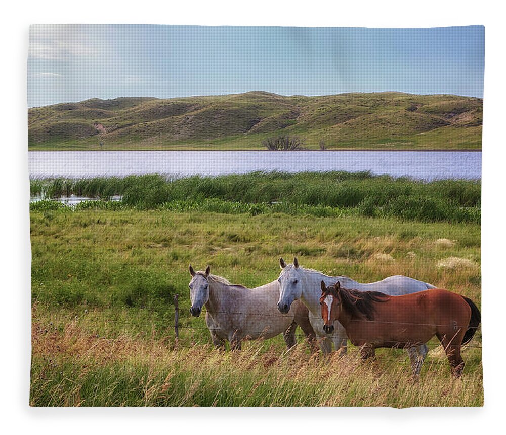 Horses Fleece Blanket featuring the photograph Horses at Beem Lake - Sandhills Journey by Susan Rissi Tregoning