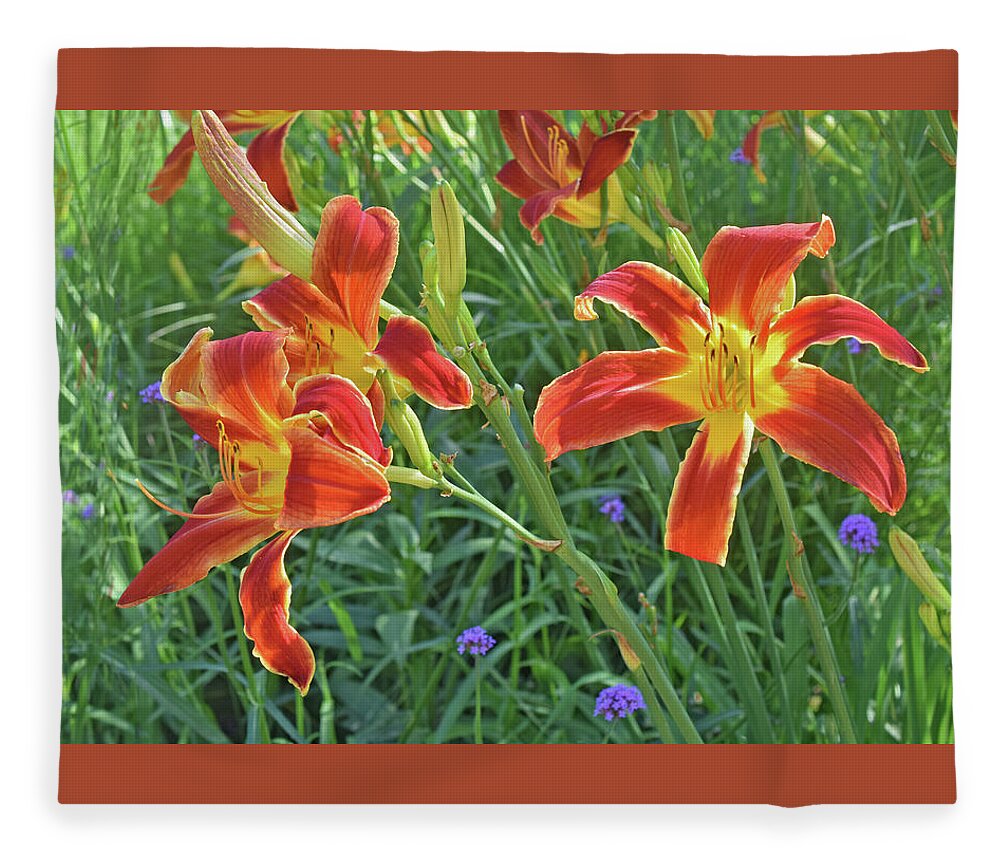 Daylilies Fleece Blanket featuring the photograph Hot July Field of Daylilies by Janis Senungetuk