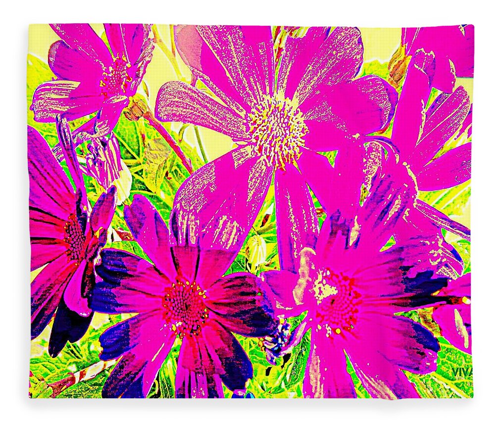 Cineraria Fleece Blanket featuring the photograph HOT PINK CINERARIA - For Kay by VIVA Anderson