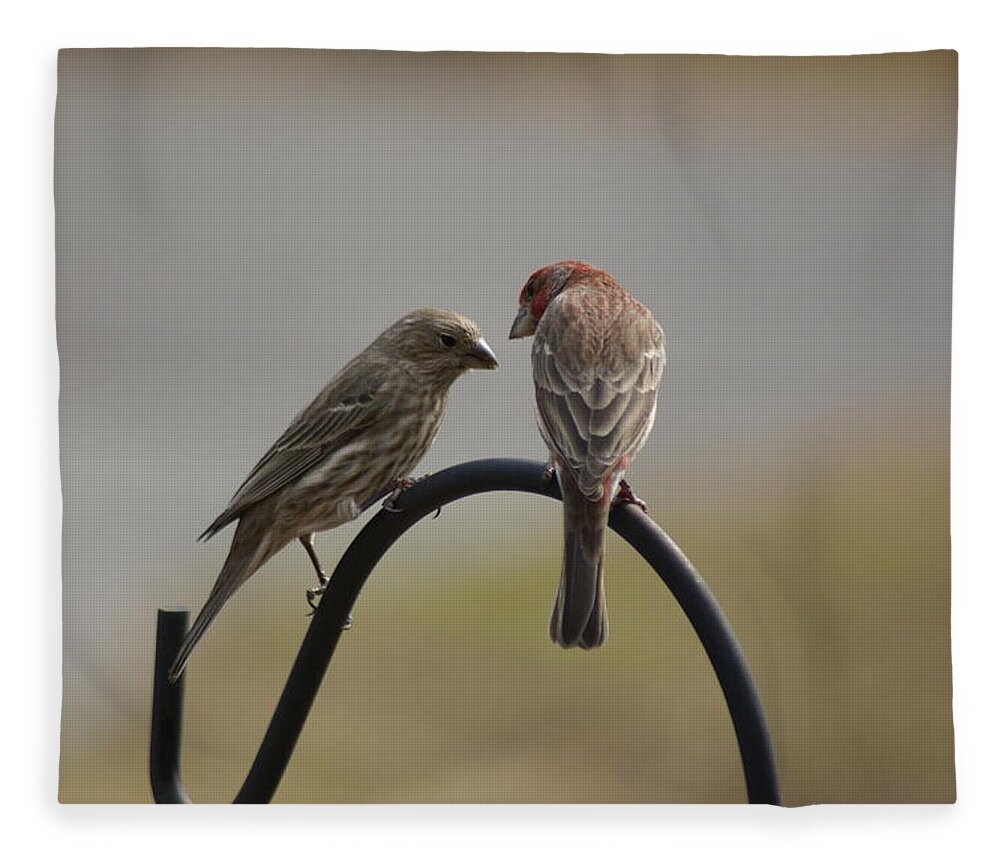  Fleece Blanket featuring the photograph House Finch Pair by Heather E Harman