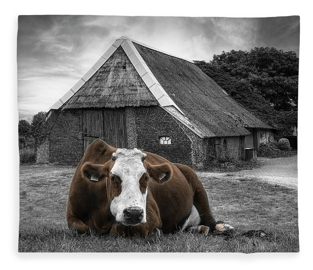 Animals Fleece Blanket featuring the photograph How Now Brown Cow Black and White by Debra and Dave Vanderlaan