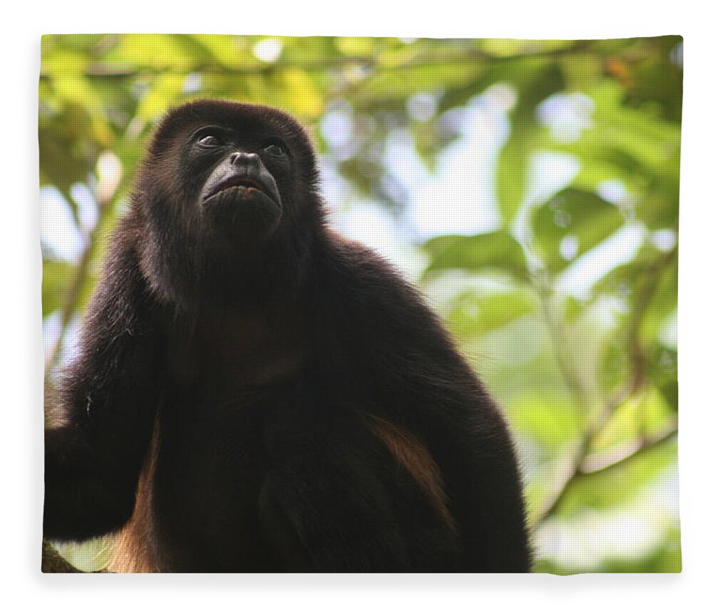 Howler Monkey Fleece Blanket featuring the photograph Howler Monkey by Laurie Lago Rispoli