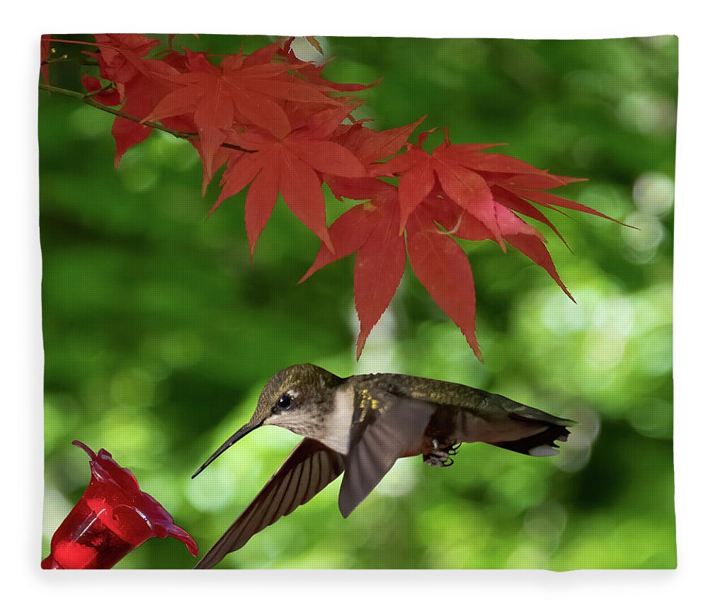 Hummingbird Fleece Blanket featuring the photograph Hummer by Mary Buck