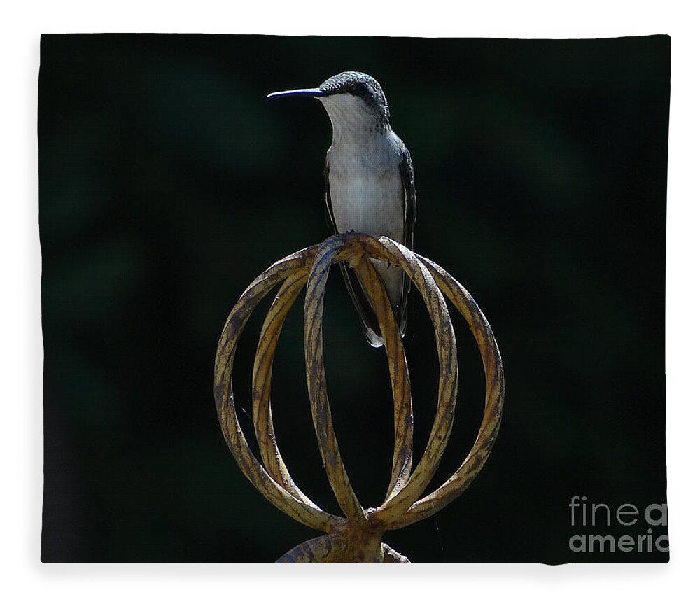 5 Star Fleece Blanket featuring the photograph Hummers on Deck- 2-05 by Christopher Plummer