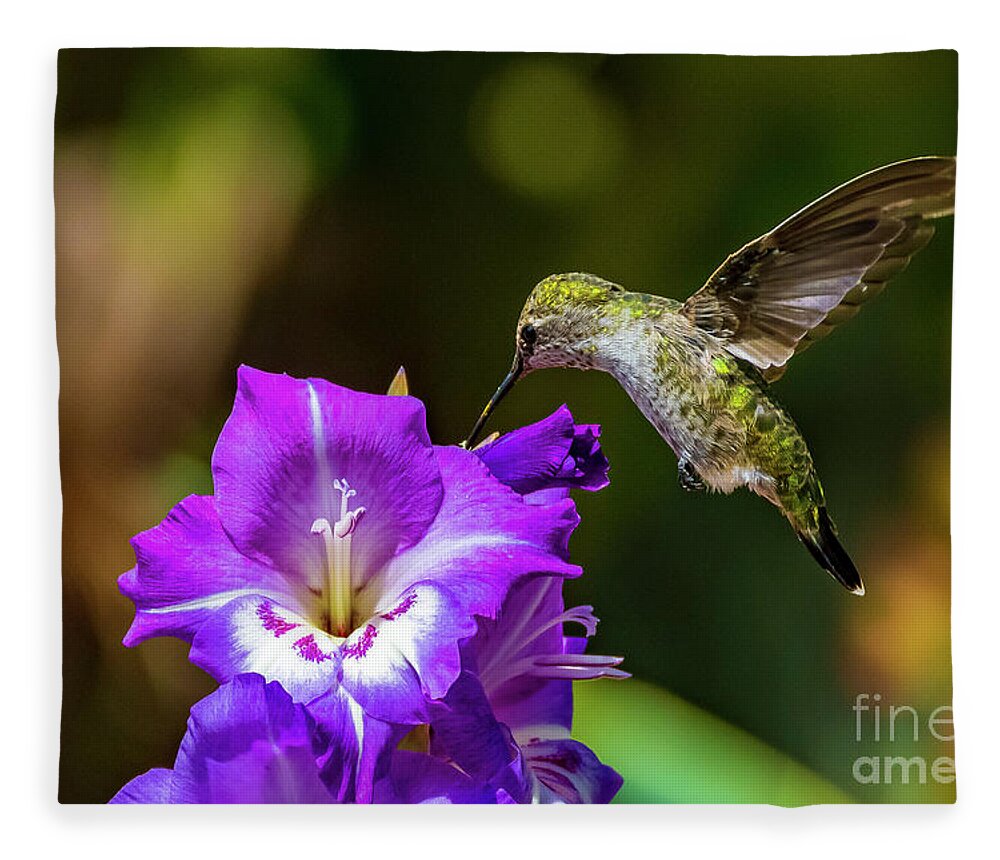 Hummingbird Fleece Blanket featuring the photograph Hummingbird and Flower by Rich Cruse