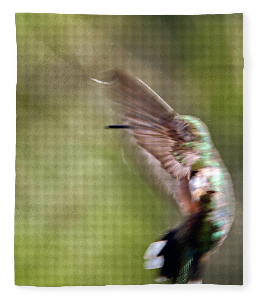 Hummingbird Fleece Blanket featuring the photograph Hummingbird dancing II by Paul Vitko