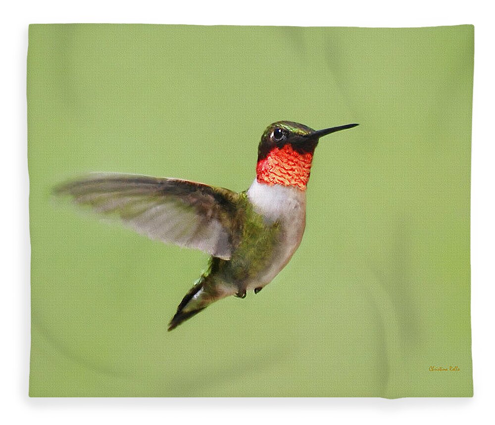 Hummingbird Fleece Blanket featuring the painting Hummingbird Defender by Christina Rollo